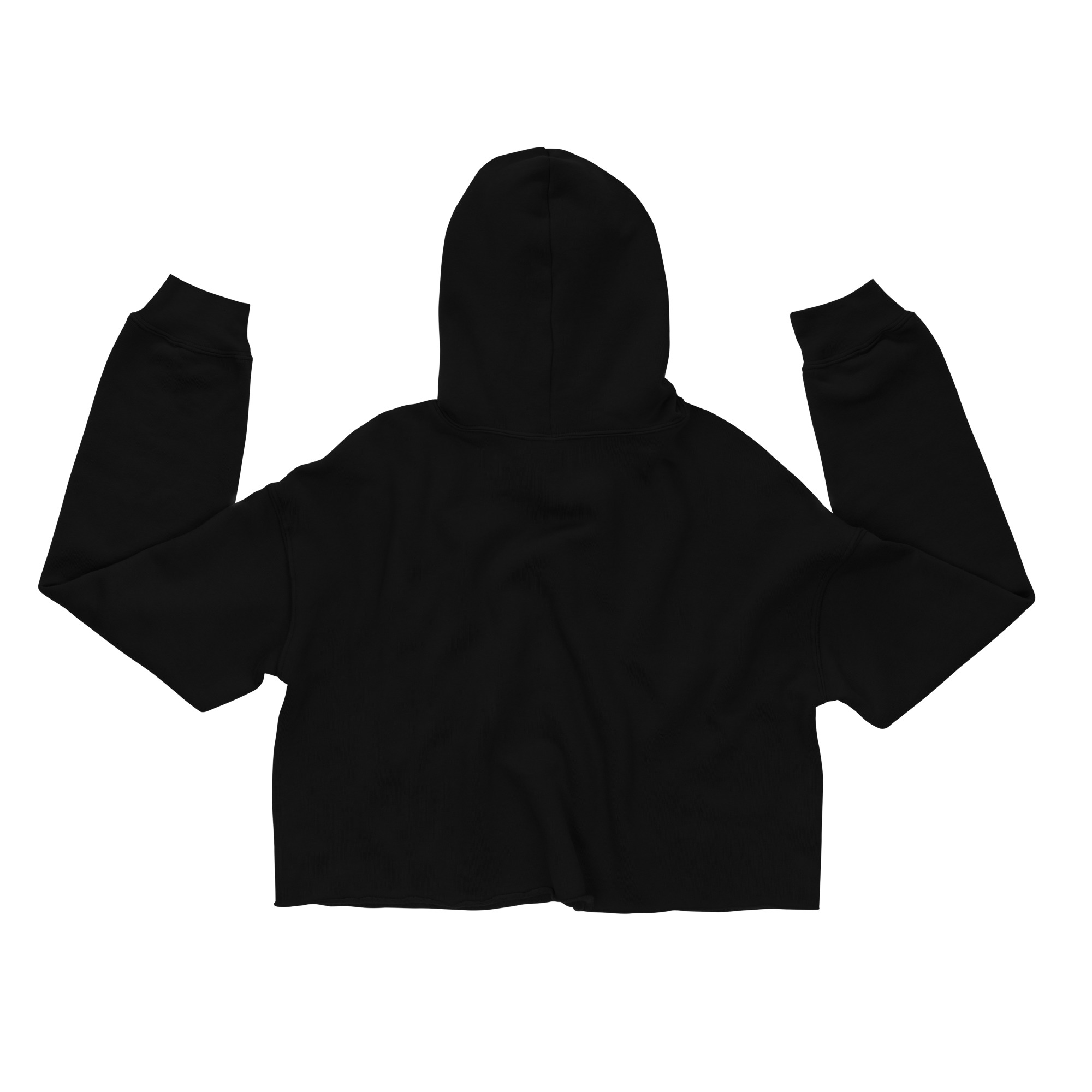 OG Stacked Crop Hoodie - Image 3